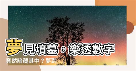 夢到女人是幾號|夢境解讀數字竟然可以中樂透？整理好多個派網頁的解夢數字－。。